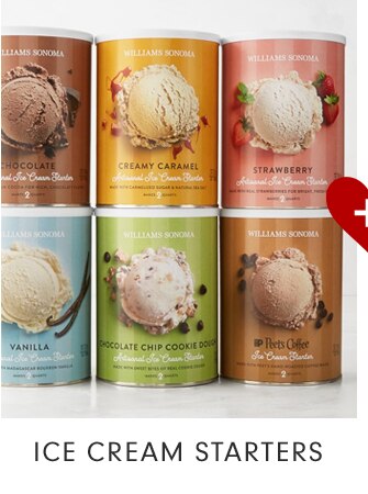 ICE CREAM STARTERS