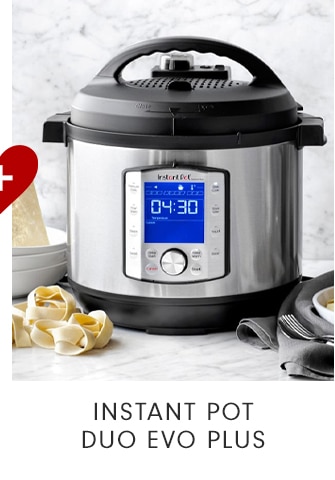 INSTANT POT DUO EVO PLUS