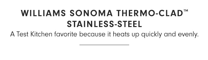 WILLIAMS SONOMA THERMO-CLAD™ STAINLESS-STEEL