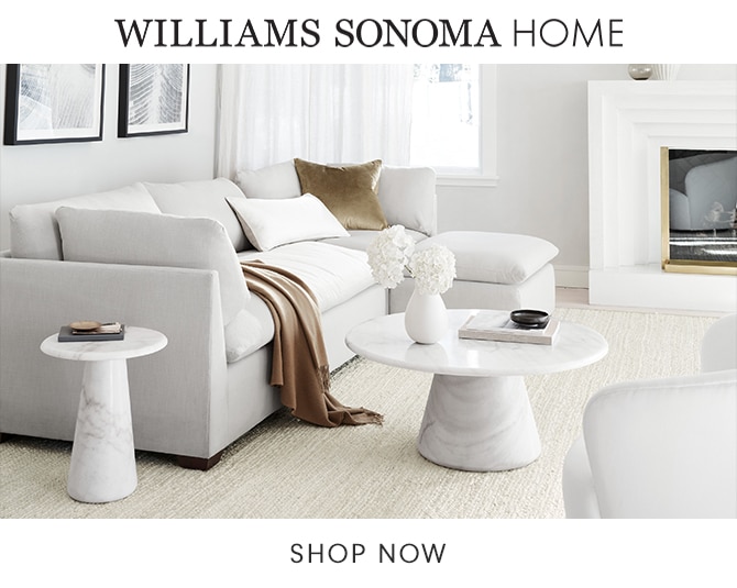 WILLIAMS SONOMA HOME - SHOP NOW