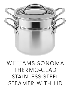 WILLIAMS SONOMA THERMO-CLAD STAINLESS-STEEL STEAMER WITH LID