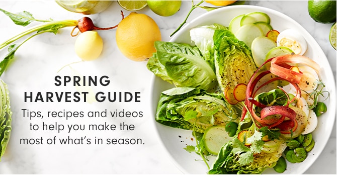 SPRING HARVEST GUIDE
