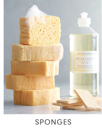 SPONGES