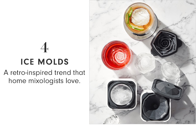 4 - ICE MOLDS