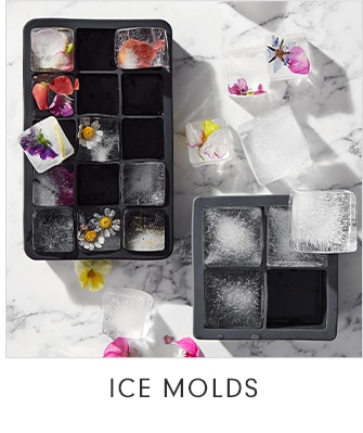 ICE MOLDS