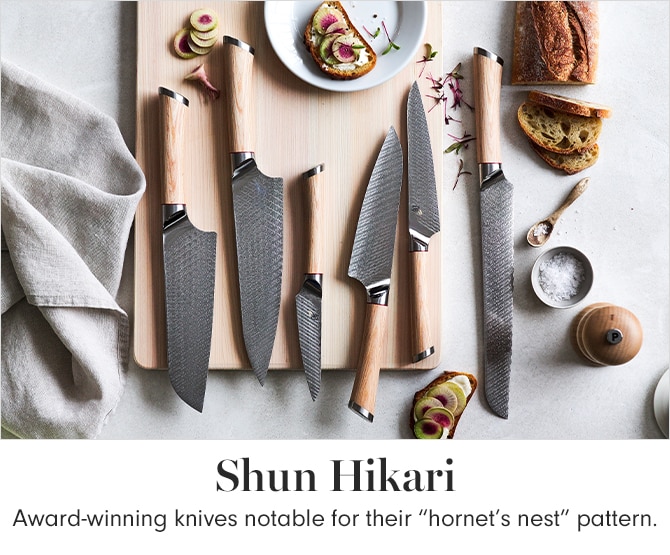 Shun Hikari