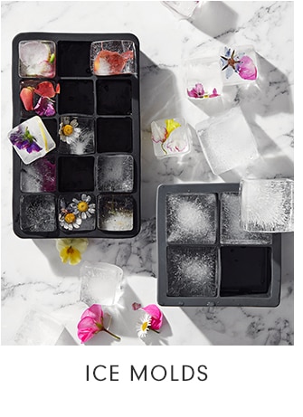 ICE MOLDS