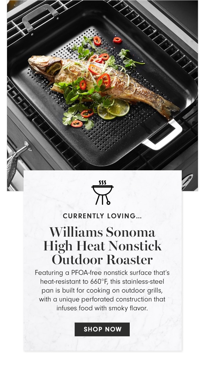 CURRENTLY LOVING - Williams Sonoma High Heat Nonstick Outdoor Roaster - SHOP NOW