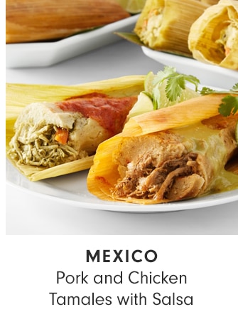 MEXICO - Pork and Chicken Tamales with Salsa
