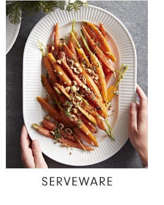 SERVEWARE