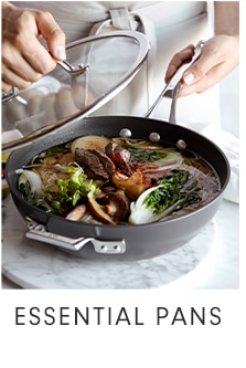 ESSENTIAL PANS
