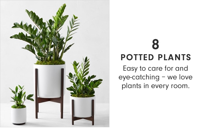 POTTED PLANTS