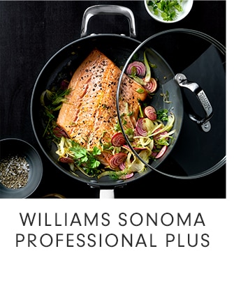 WILLIAMS SONOMA PROFESSIONAL PLUS