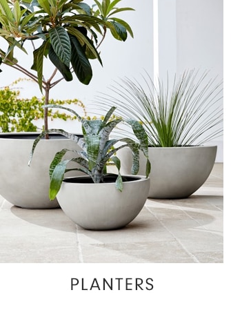 PLANTERS
