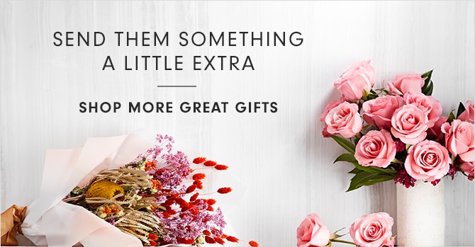 SEND THEM SOMETHING A LITTLE EXTRA - SHOP MORE GREAT GIFTS