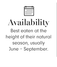 Availability