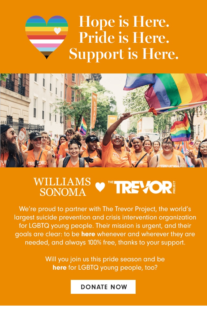 Hope is Here. Pride is Here. Support is Here. WILLIAMS SONOMA - THE TREVOR PROJECT - Will you join us this pride season and be here for LGBTQ young people, too? DONATE NOW