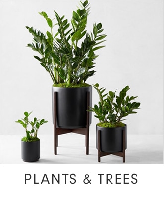 PLANTS & TREES