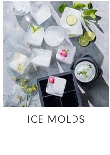 ICE MOLDS