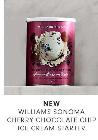 NEW - WILLIAMS SONOMA CHERRY CHOCOLATE CHIP ICE CREAM STARTER