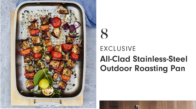 8 - EXCLUSIVE - All-Clad Stainless-Steel Outdoor Roasting Pan