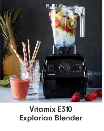 Vitamix E310 Explorian Blender