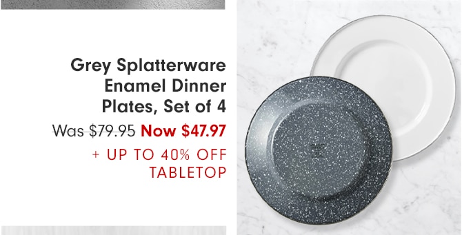 Grey Splatterware Enamel Dinner Plates, Set of 4 - Now $47.97 + UP TO 40% OFF TABLETOP