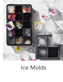 Ice Molds