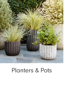 Planters & Pots