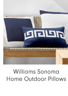 Williams Sonoma Home Outdoor Pillows