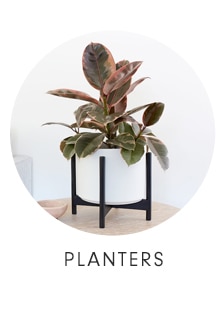 PLANTERS