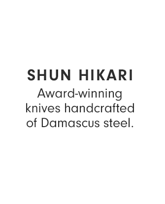 SHUN HIKARI
