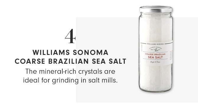 WILLIAMS SONOMA COARSE BRAZILLIAN SEA SALT