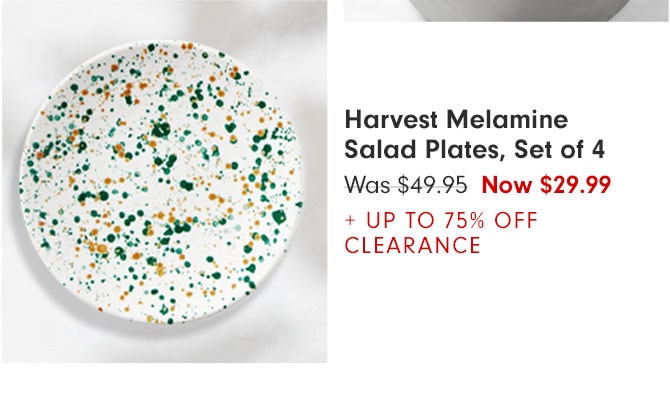 Harvest Melamine Salad Plates, Set of 4 - Was $49.95 Now $29.99 + UP TO 75% OFF CLEARANCE