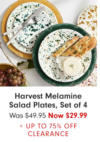 Harvest Melamine Salad Plates, Set of 4 - Now $29.99 + UP TO 75% OFF CLEARANCE