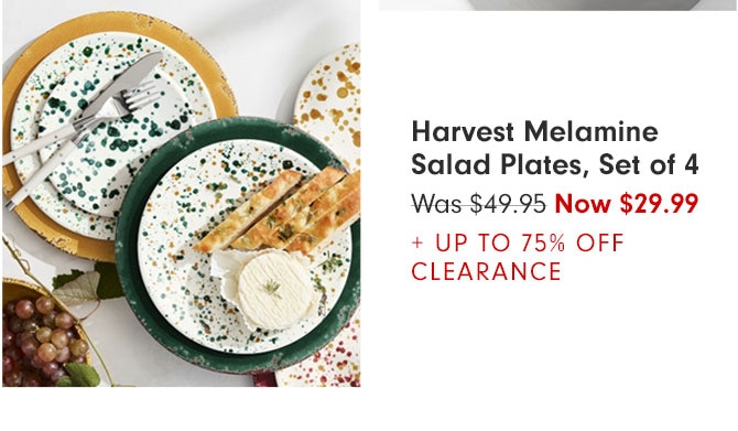Harvest Melamine Salad Plates, Set of 4 - Was $49.95 Now $29.99 + UP TO 75% OFF CLEARANCE