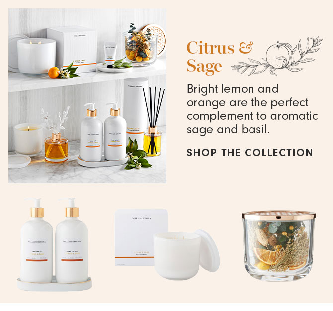 Citrus & Sage - Bright lemon and orange are the perfect complement to aromatic sage and basil. - SHOP THE COLLECTION