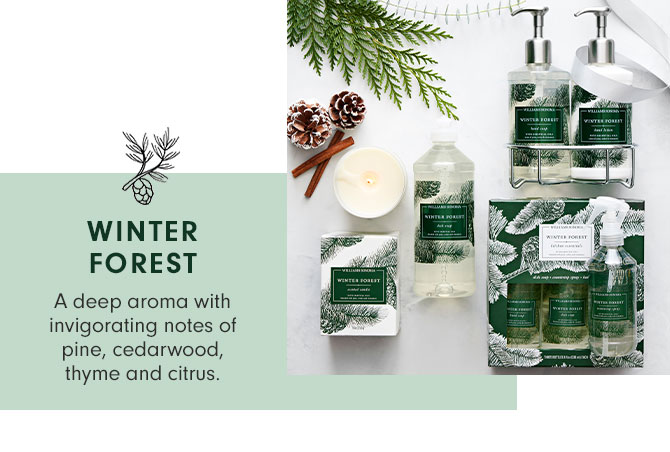 WINTER FOREST - A deep aroma with invigorating notes of pine, cedarwood, thyme and citrus.