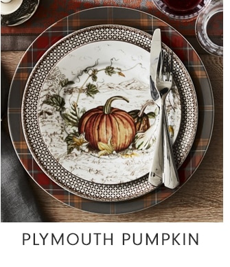 PLYMOUTH PUMPKIN