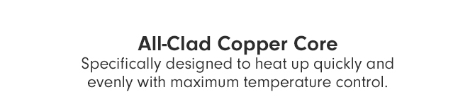 All-Clad Copper Core