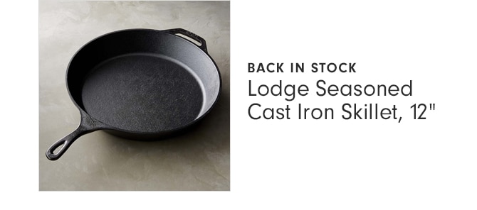 Lodge Seasoned Cast Iron Skillet, 12”