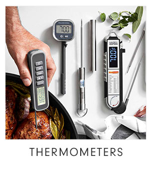 THERMOMETERS