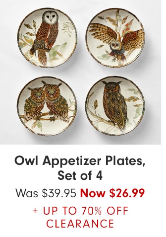 Owl Appetizer Plates, Set of 4 - Now $26.99 + Up to 70% Off Clearance