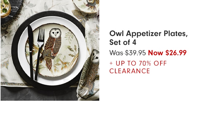 Owl Appetizer Plates, Set of 4 - Now $26.99 + Up to 70% Off Clearance