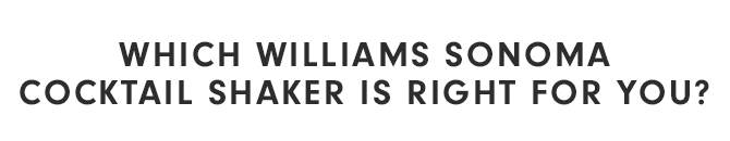 WHICH WILLIAMS SONOMA COCKTAIL SHAKER IS RIGHT FOR YOU?