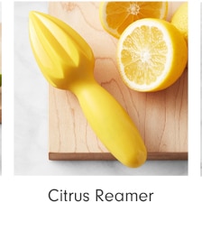 Citrus Reamer