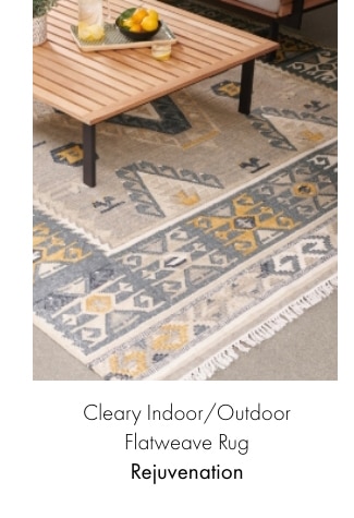 Cleary Indoor/Outdoor Flatweave Rug - Rejuvenation