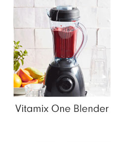 Vitamix One Blender