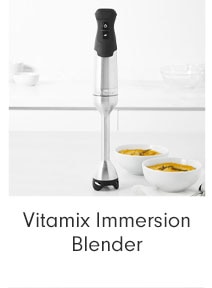 Vitamix Immersion Blender 