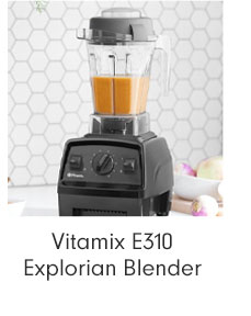 Vitamix E310 Explorian Blender